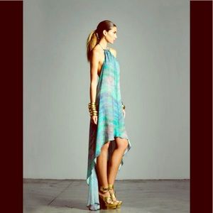 Alexis Silk Dress