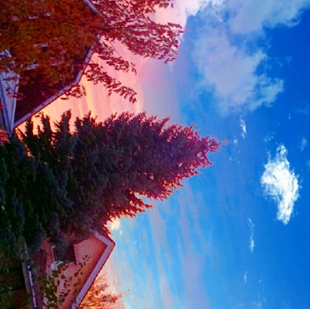 Meet your Posher, Liz