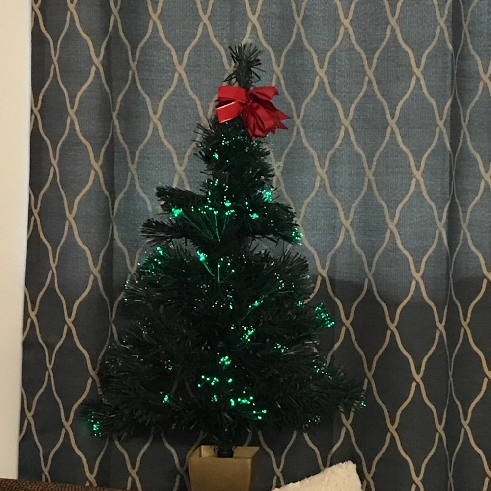 Meet your Posher, Lexi