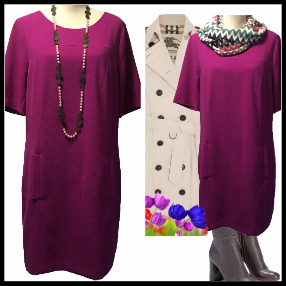 The Limited shift dress. EUC. Size 14.