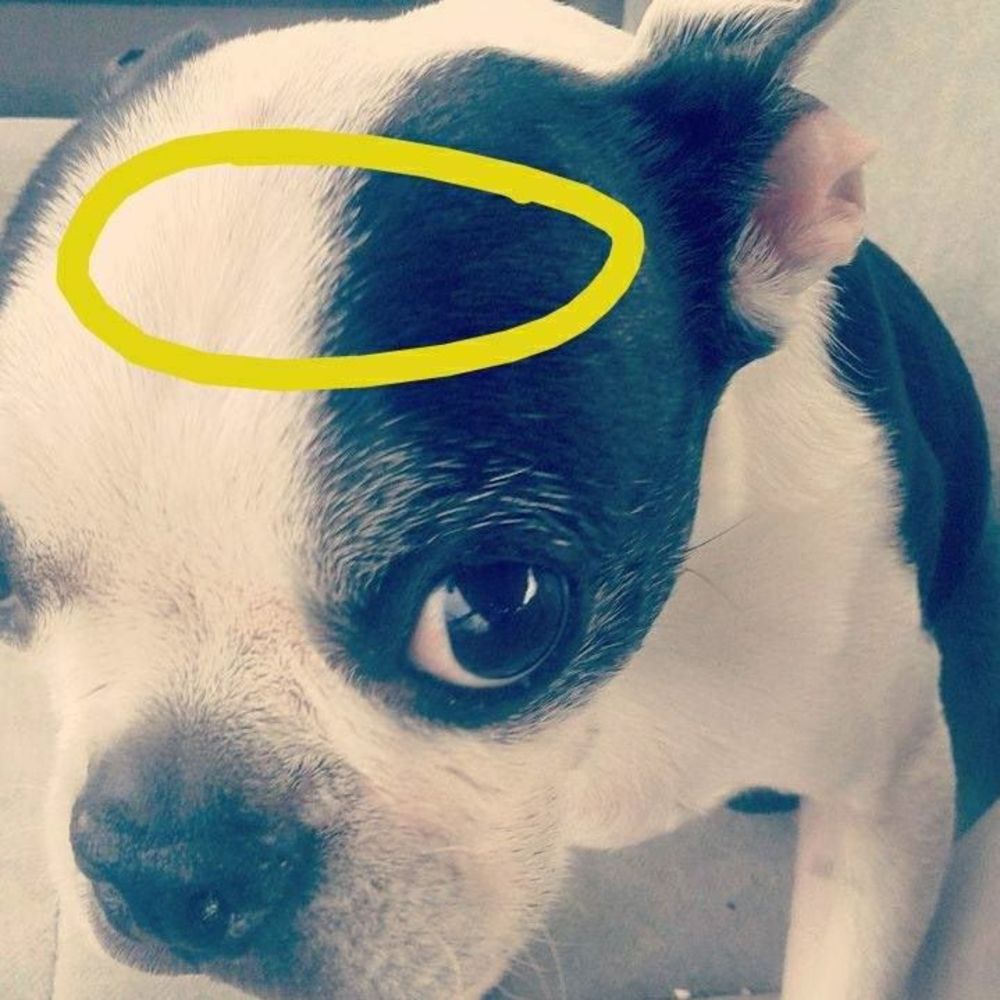 Meet your Posher, Kei