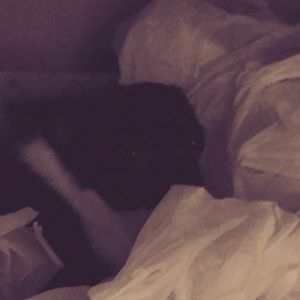 Meet your Posher, Tristan