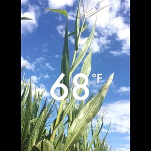 Meet your Posher, Ian