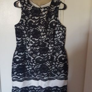 The Limited Beautiful Lace cocktail dress