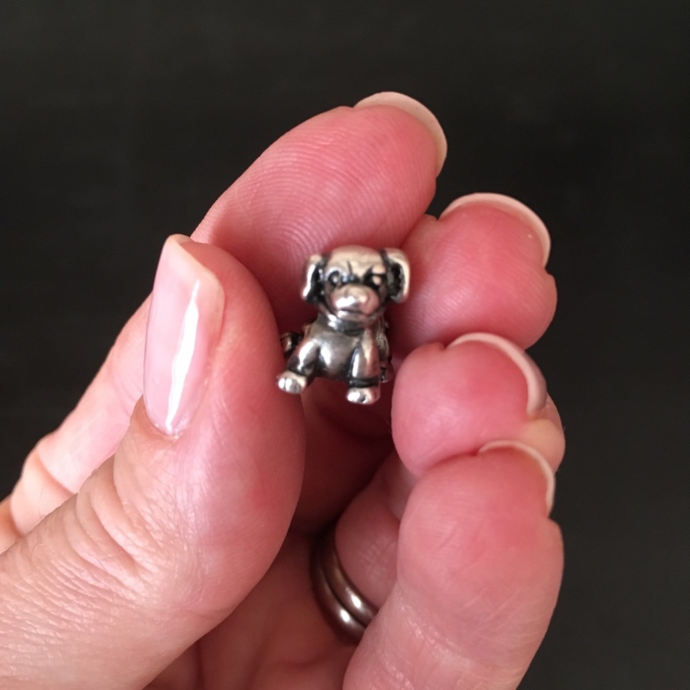 Pandora dog charm