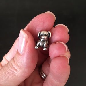 Pandora dog charm