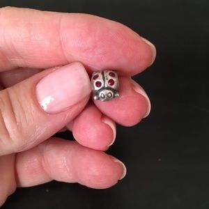 Pandora lady bug charm