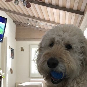 Meet your Posher, Nicholas