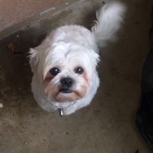 Meet your Posher, Caitlin