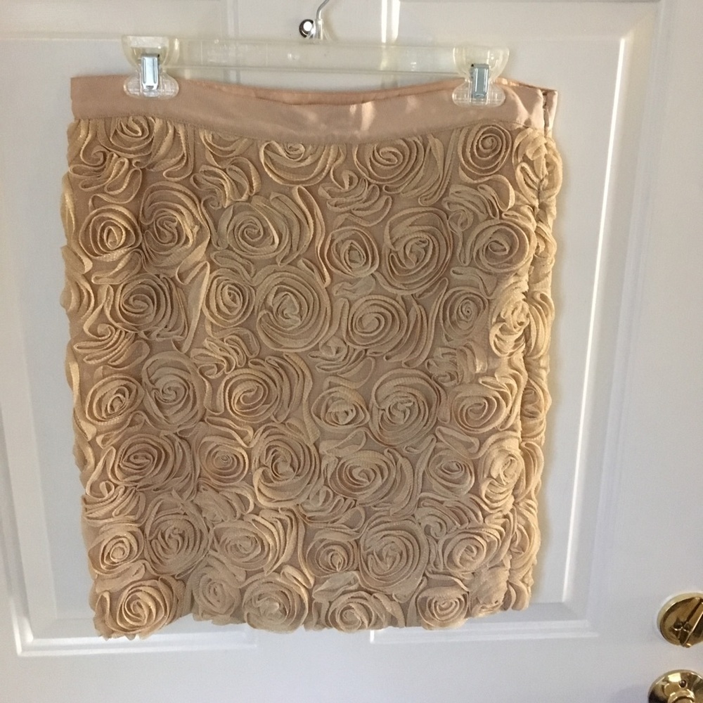 Gold rose bud Banana Republic skirt size 6