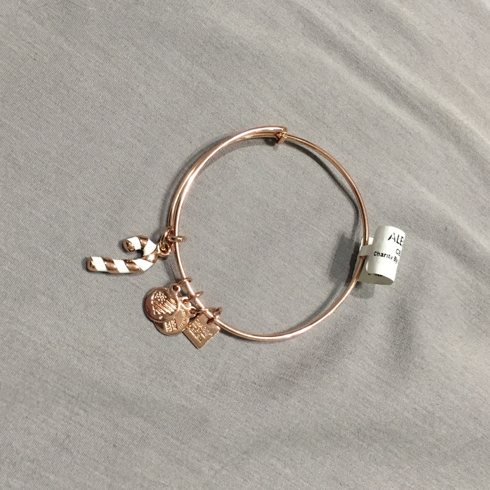 Alex and Ani NWT