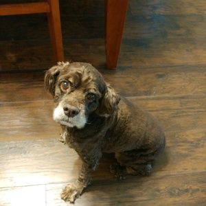 Meet your Posher, Sharon