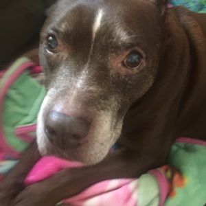 Meet your Posher, Nichole