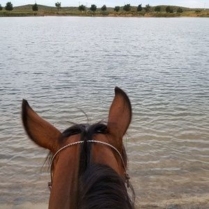 Meet your Posher, Gail