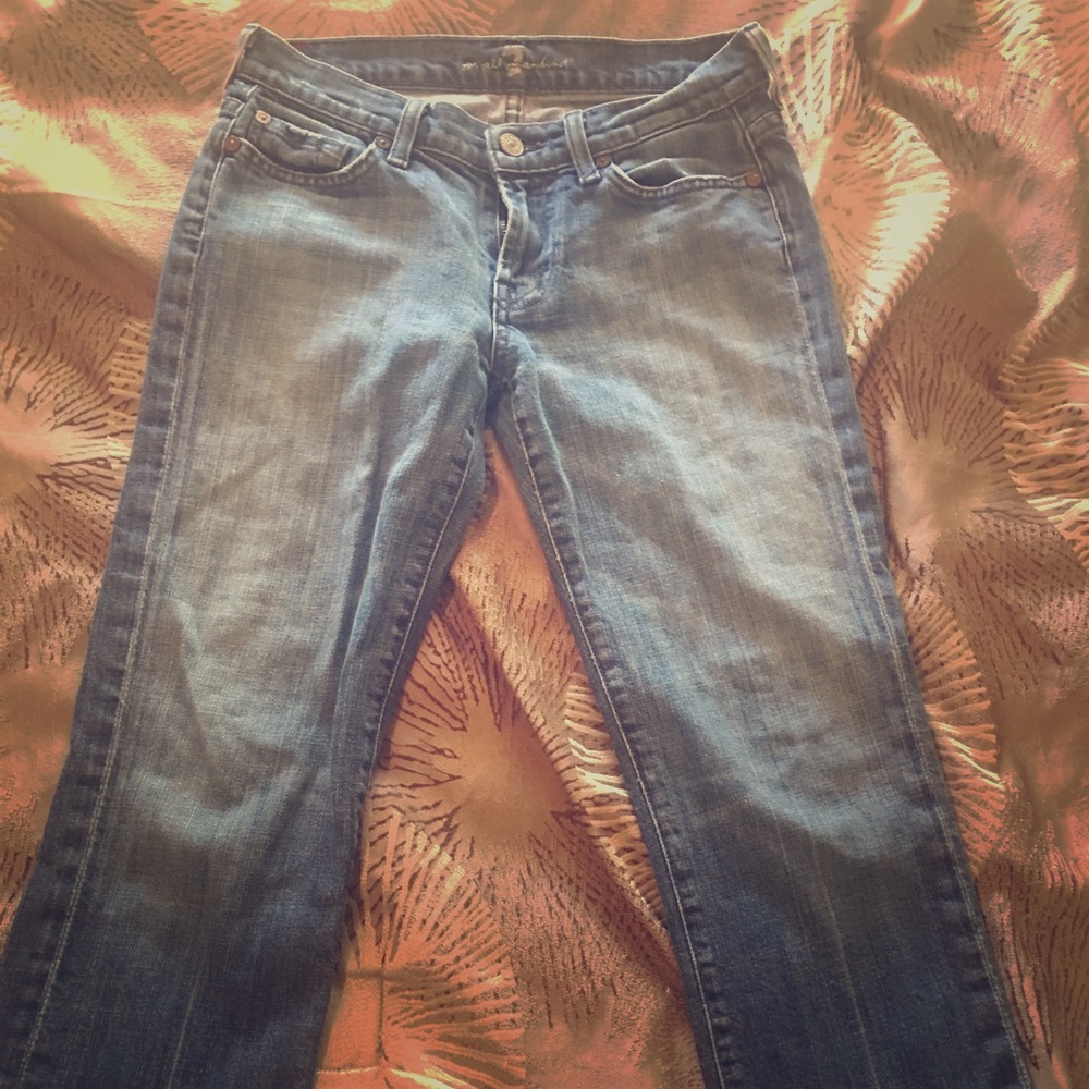7 for all mankind 27