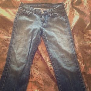 7 for all mankind 27