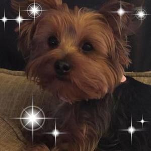 Meet your Posher, Barbara