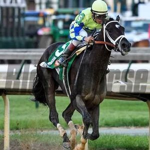 Meet your Posher, Brøwnbôy