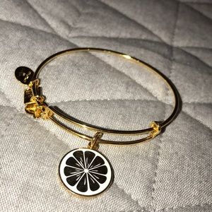 alex and ani