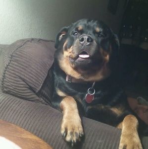 Meet your Posher, Debbie