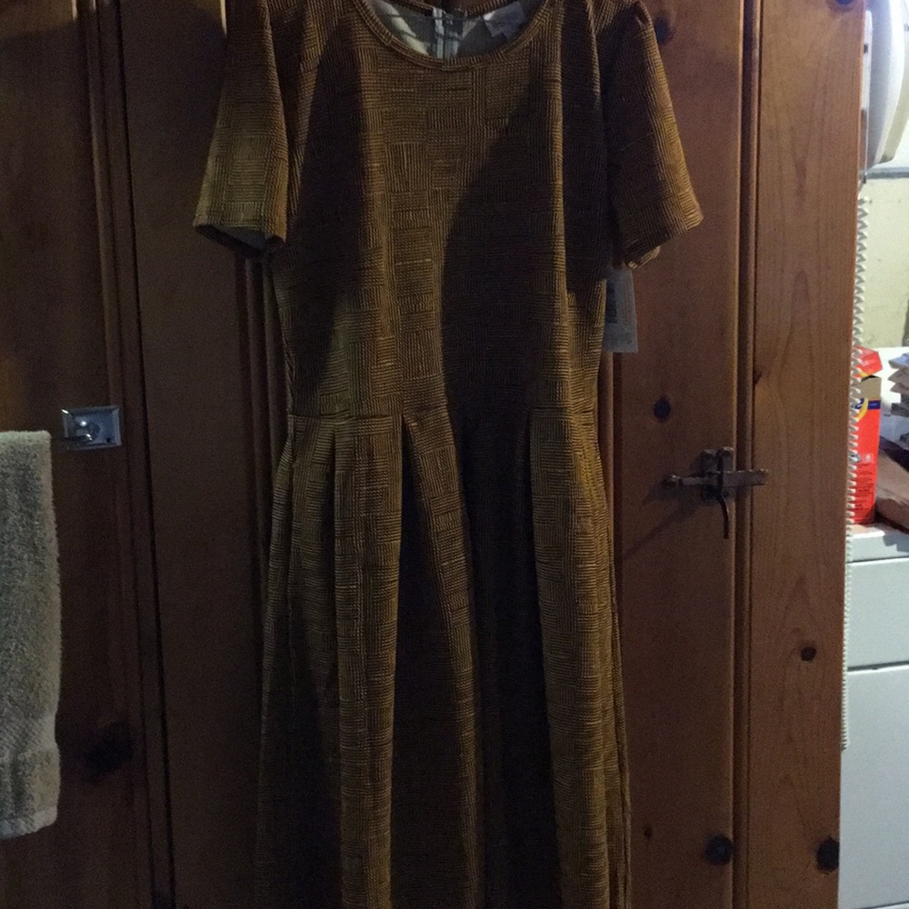LuLaRoe Amelia dress