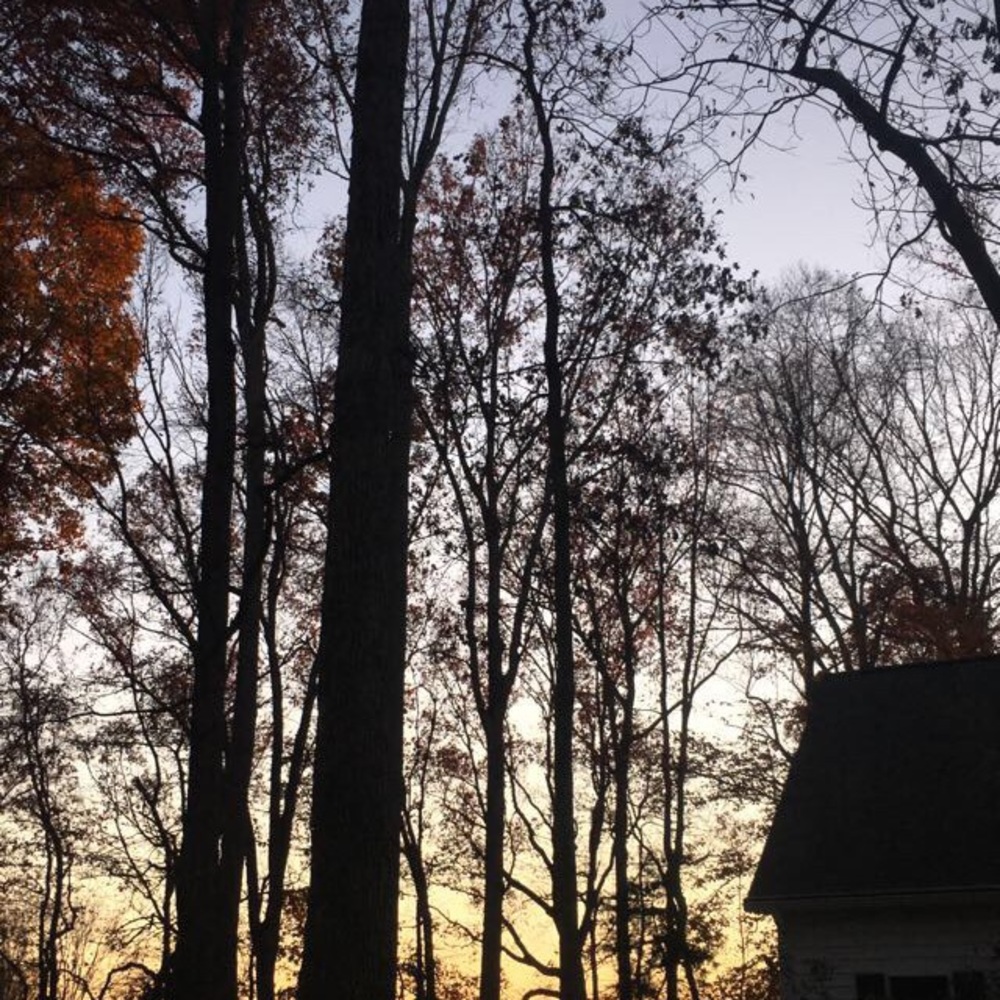 Meet your Posher, Helen