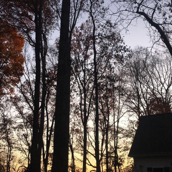 Meet your Posher, Helen - Picture 1 of 1