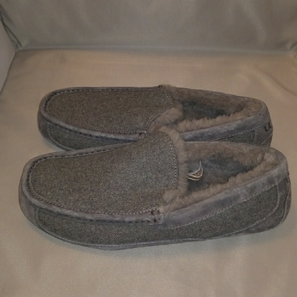 ugg ascot wool slippers