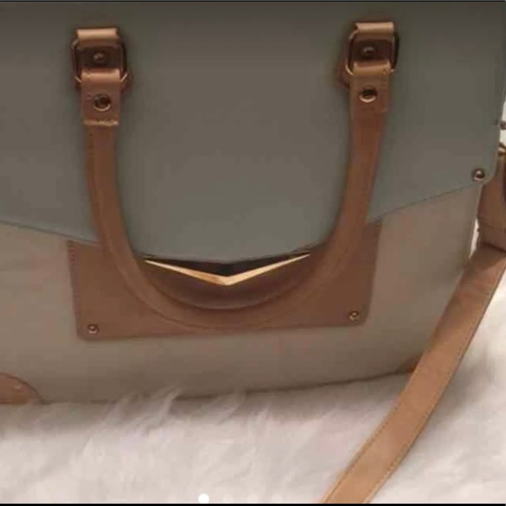 SOLD Aldo Bag
