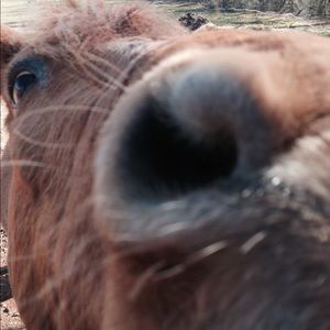 Meet your Posher, Catherine