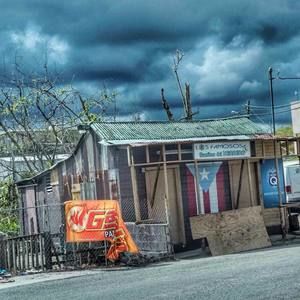 Meet your Posher, Billy