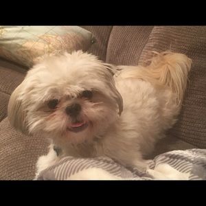 Meet your Posher, Semhar