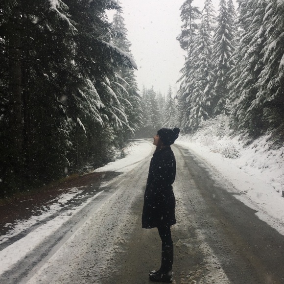 Meet your Posher, Cat - Picture 1 of 1