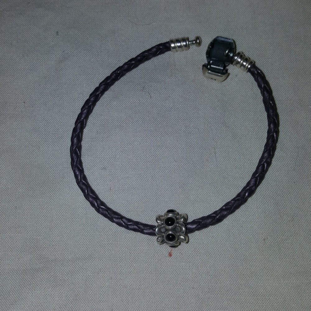 Pandora Charm (retired?)  Bracelet not included