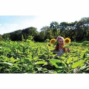 Meet your Posher, Courtney