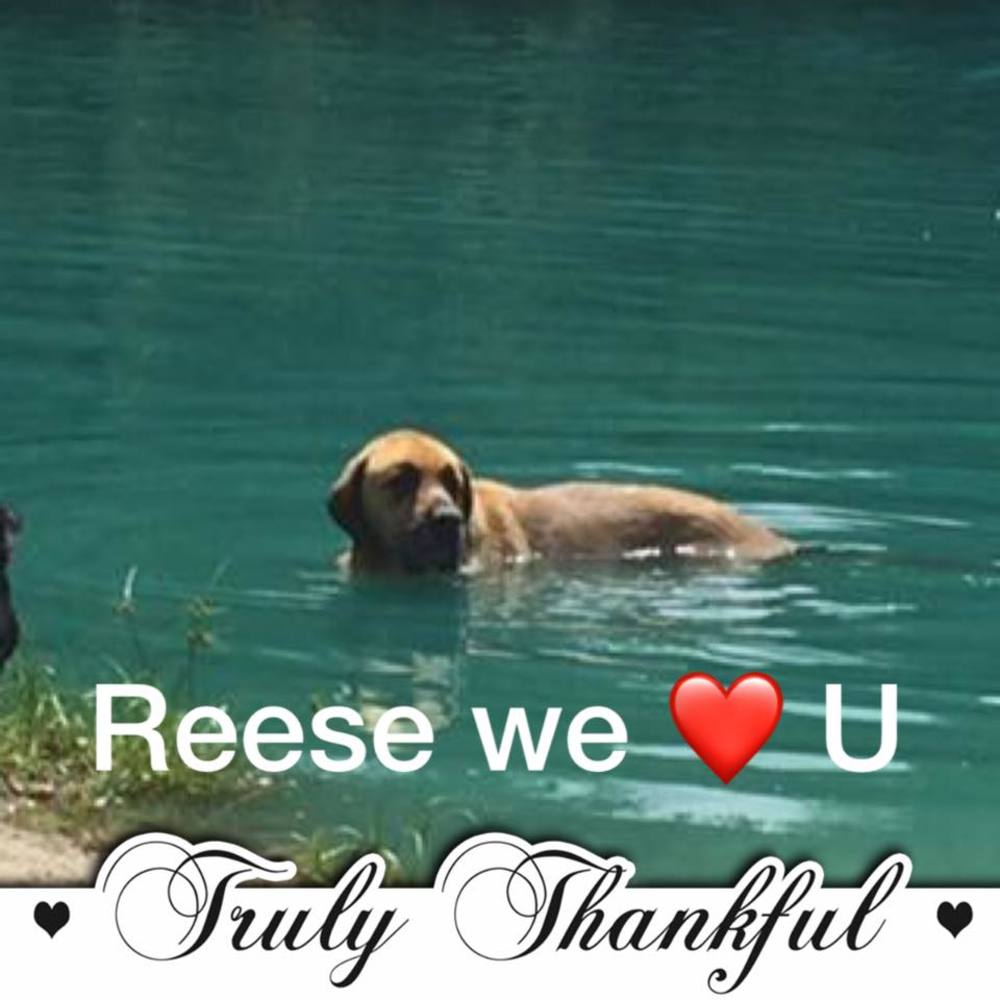 Meet your Posher, Monica