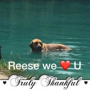 Meet your Posher, Monica