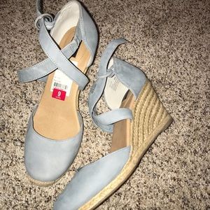 Light blue wedges