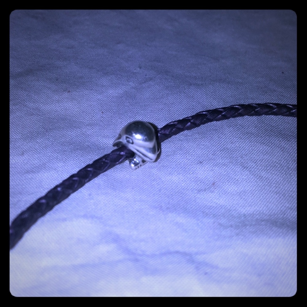 Pandora dolphin charm