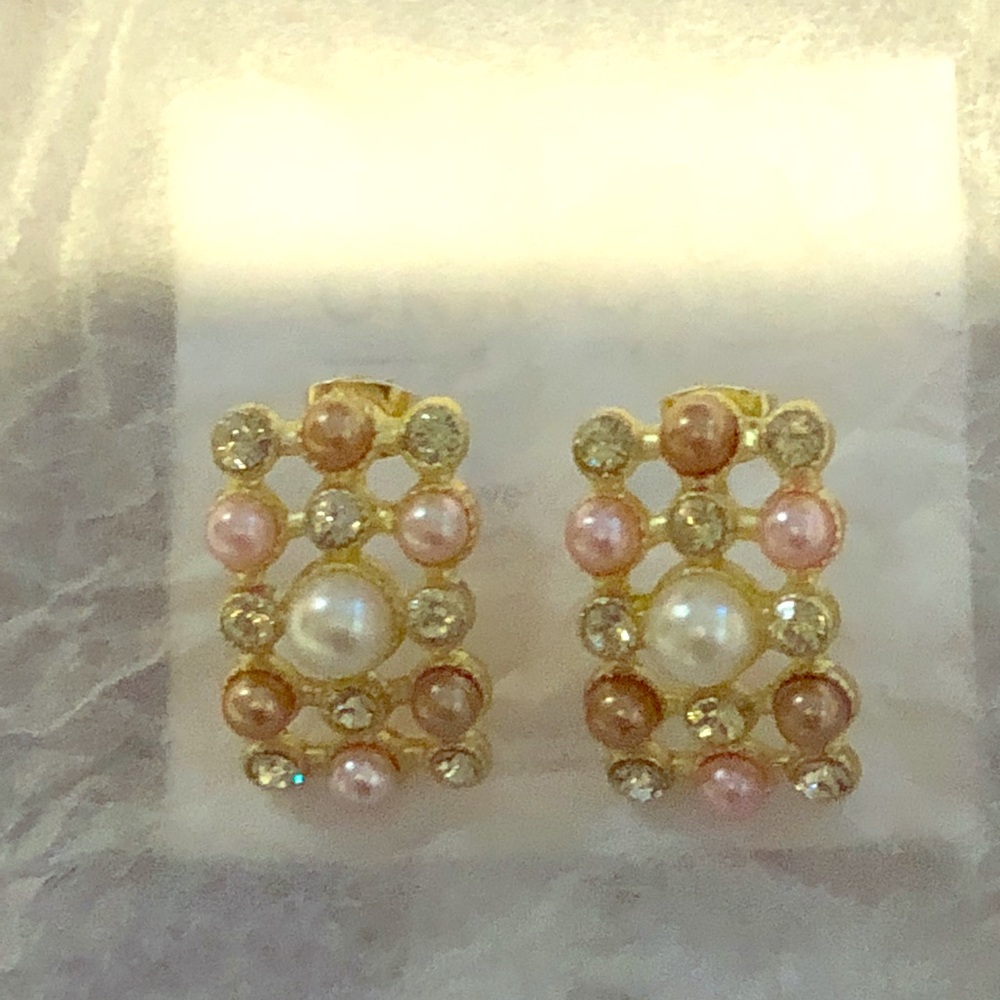 Brand new earrings. Never worn