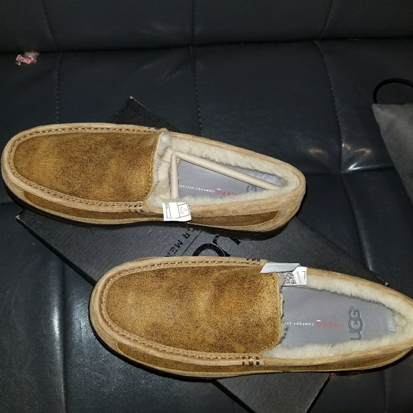 Ugg slippers main image 6