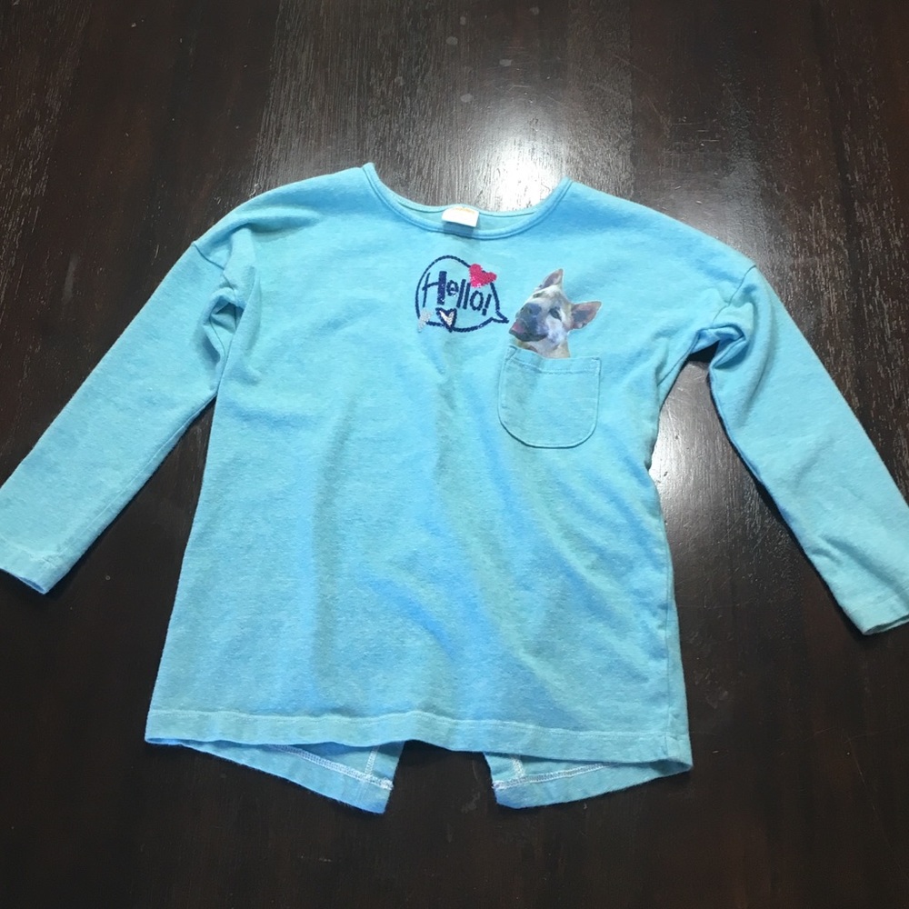 LAST CHANCE! Gymboree long sleeve shirt