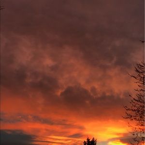 Meet your Posher, Alexander