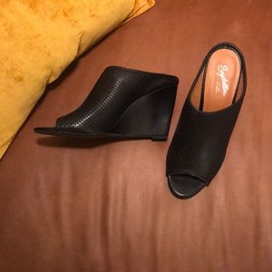 Seychelles black mules