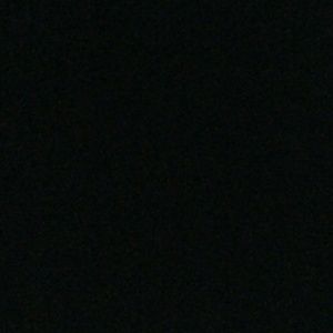 Meet your Posher, Shane