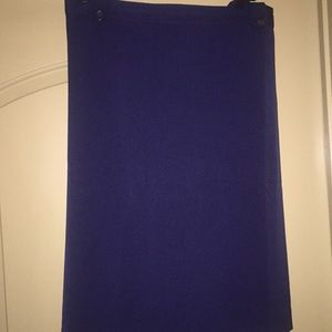 Plus Size Navy Skirt by Glamorosa