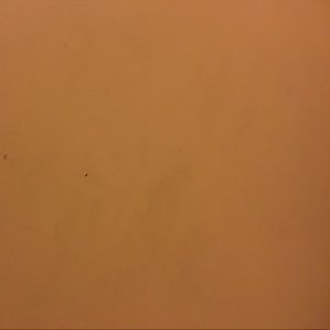 Meet your Posher, Elias