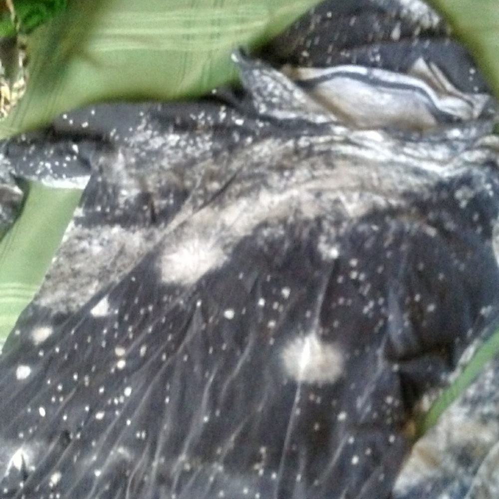 Galaxy shirt hoody