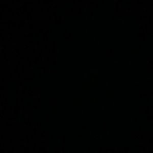 Meet your Posher, Sebastian