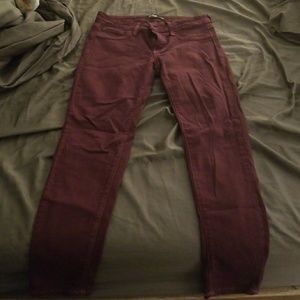 Maroon Jeans-Just Black brand